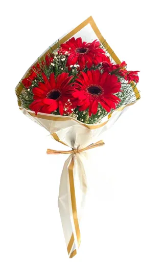 Beyaz Ambalaj Kağıdında Kırmızı Gerbera Buketi (5'li)