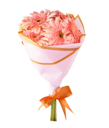 Pink Gerbera Bouquet