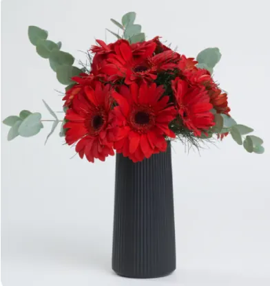 Siyah Çizgili Polimer Vazoda Kırmızı Gerbera Çiçekleri